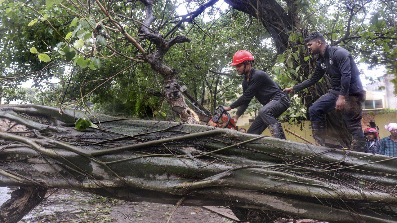 Cyclone Remal pounds India, Bangladesh: 16 dead, millions without power