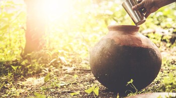 Health benefits of clay pots: Drinking water from a clay pot can significantly improve metabolism and digestion. The minerals present in the clay infuse the water with nutrients that aid in digestion and help with the efficient absorption of nutrients from food (Image: Canva)