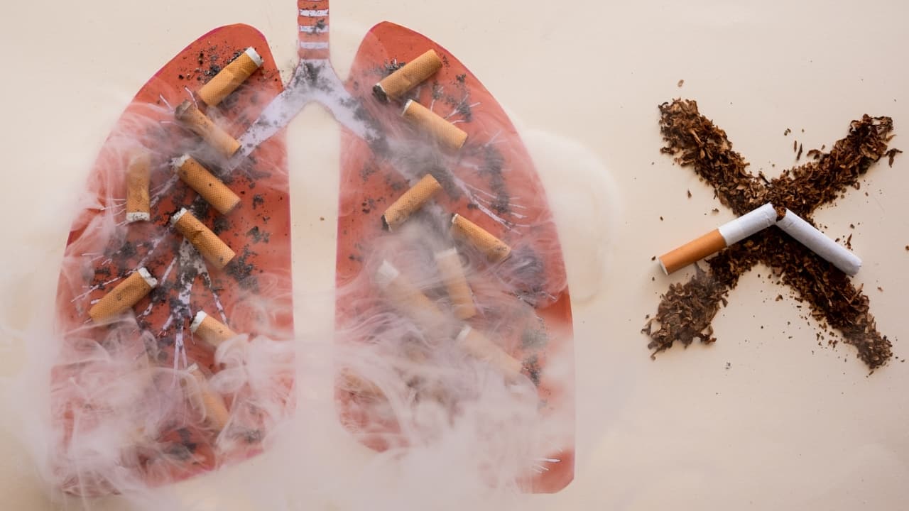 World No Tobacco Day 2024: Impact of tobacco consumption on heart and blood vessels