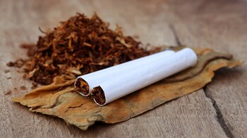 Tobacco contains 70 chemicals that are known as “carcinogens” which are known to initiate or promote cancer in the body (Image: Canva)