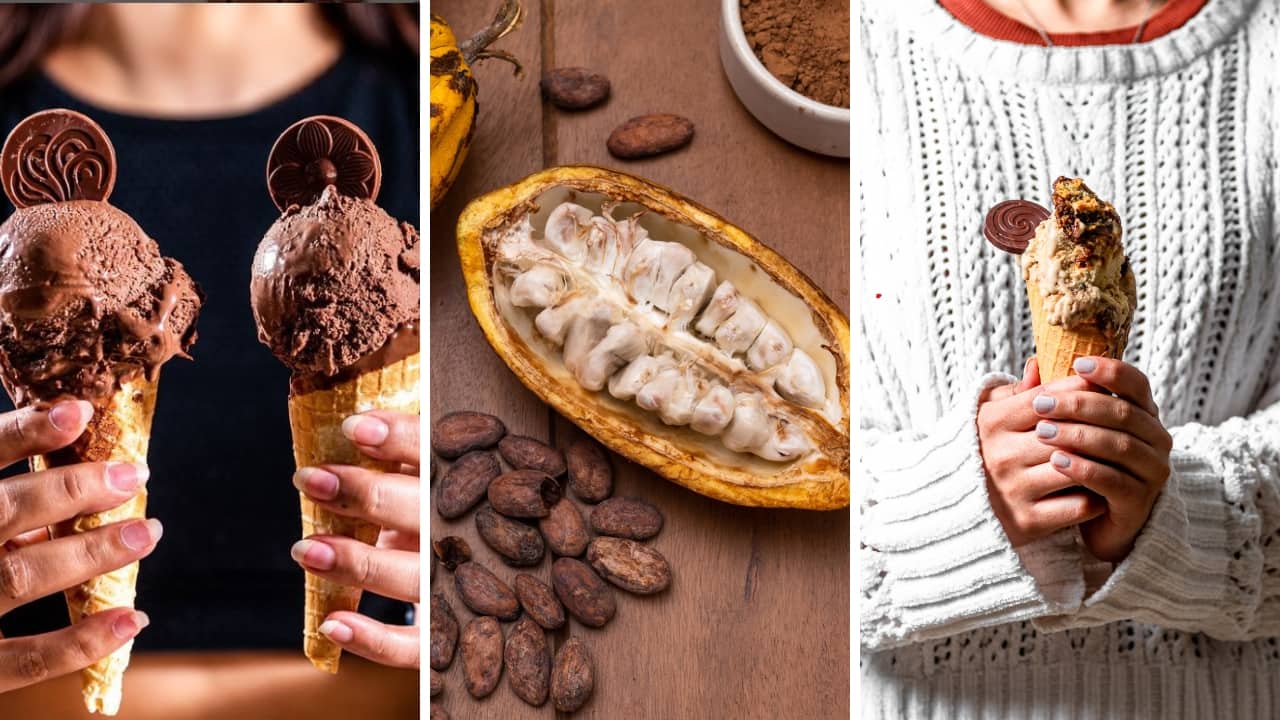 For frozen dessert lovers, gelatos win over ice-creams due to low-fat content  