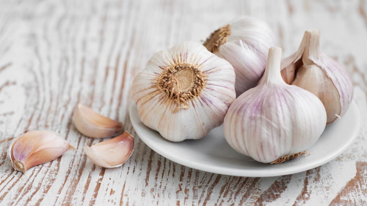 Garlic health benefits: Garlic's antimicrobial and antiviral properties help it enhance the body’s defenses against infections (Image: Canva)