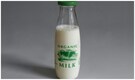 World Milk Day 2024: What is organic milk, and should you drink it?