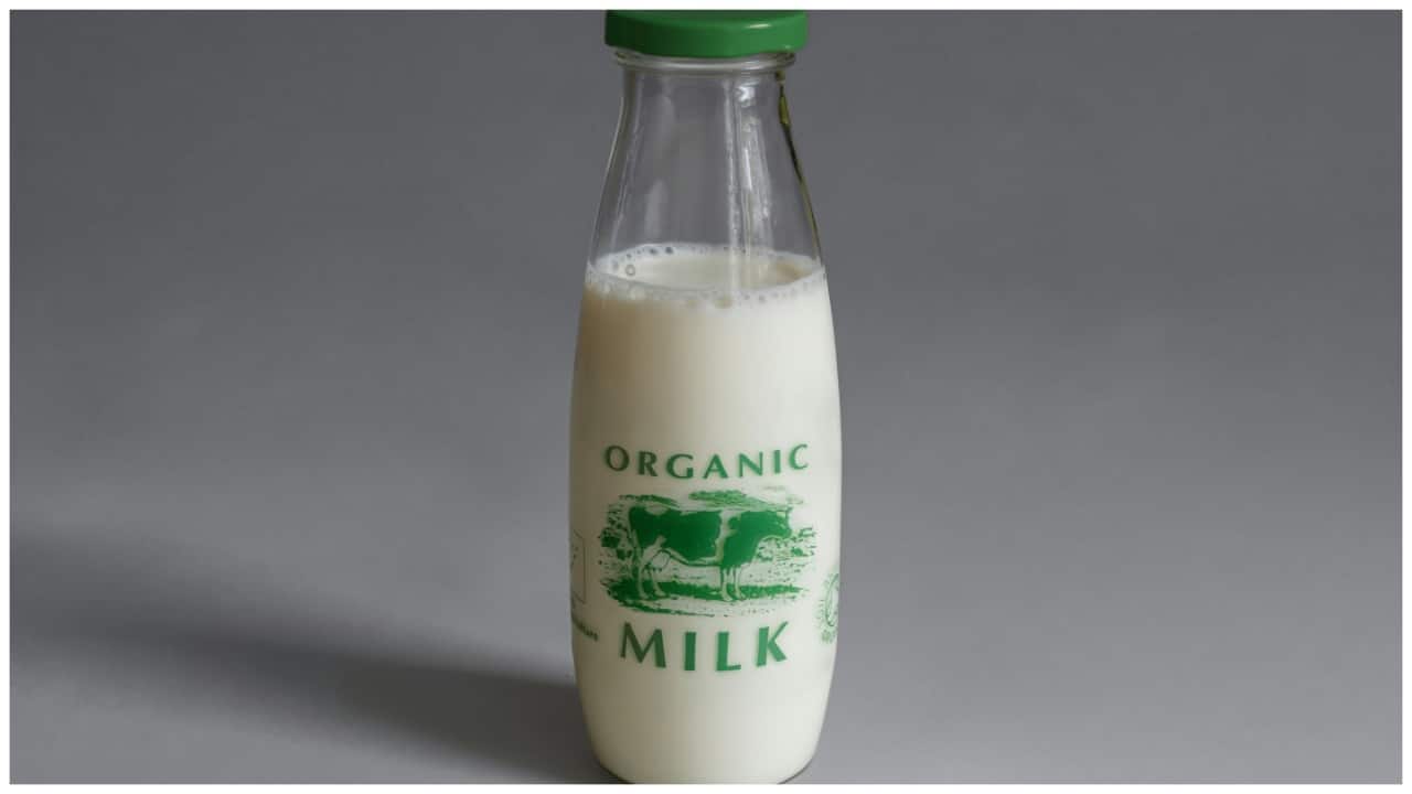world-milk-day-2024-what-is-organic-milk-and-should-you-drink-it