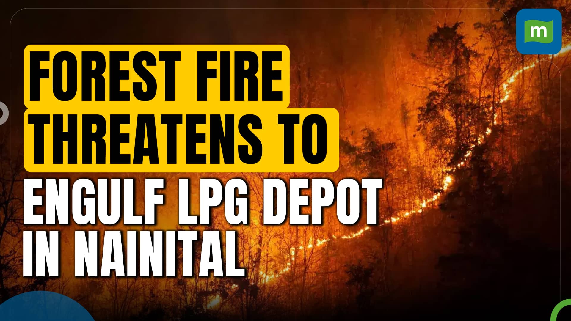 Watch: Timely Action Prevents Nainital Forest Fire From Engulfing LPG Depot