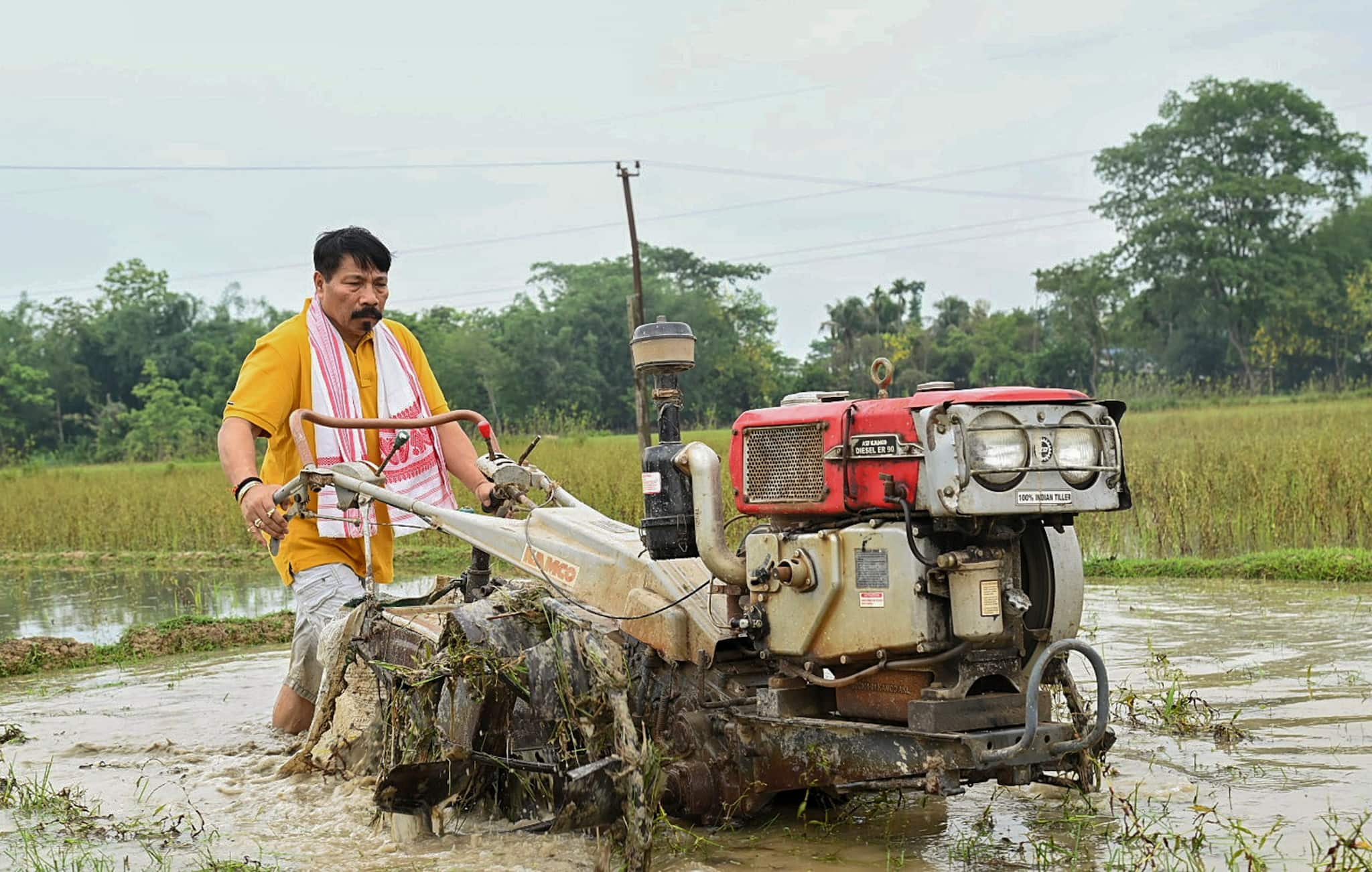 Agricultural endeavors: Assam Agriculture Minister Atul Bora tends to paddy fields in Golaghat (PTI Photo)