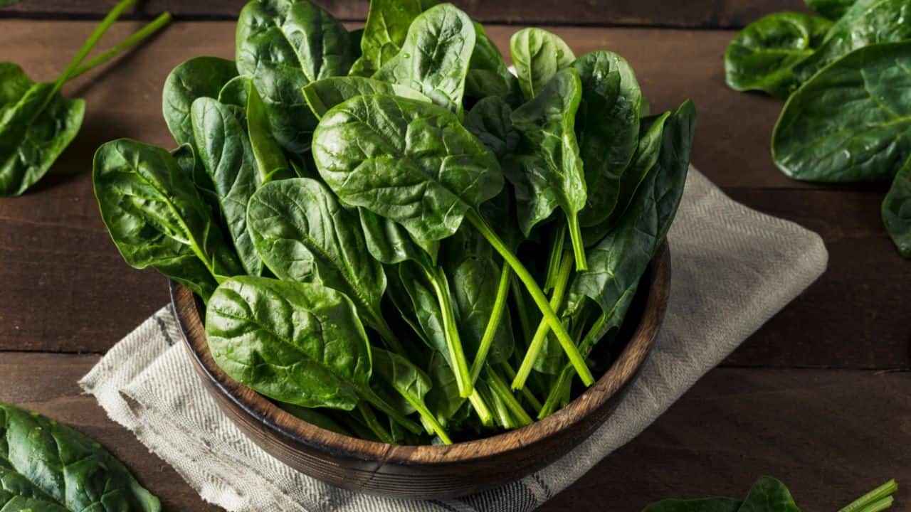 Health benefits of spinach: Leafy greens are rich in vitamins, minerals, and antioxidants that combat oxidative stress and inflammation (Image: Canva)