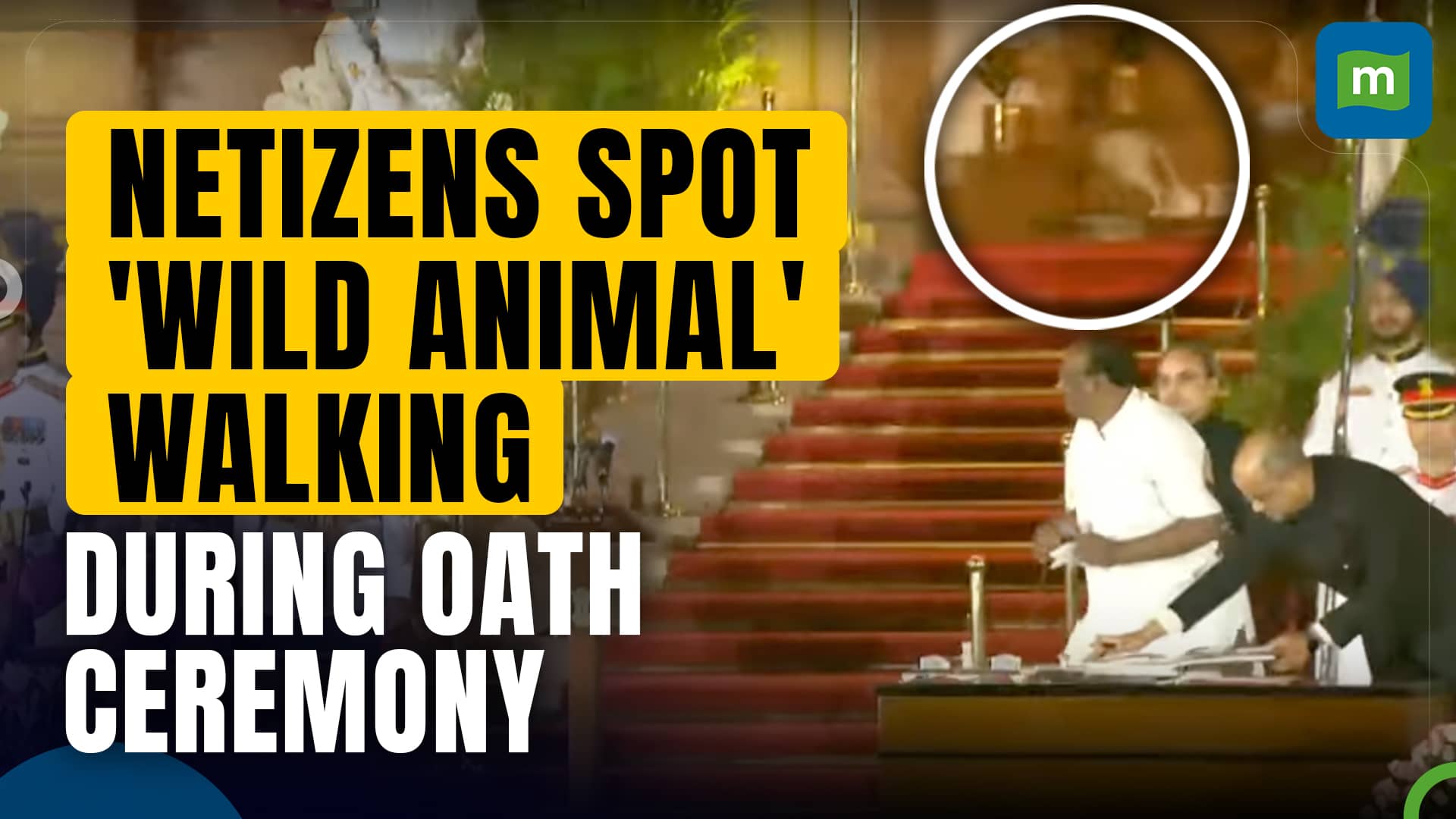Leopard Or Pet? Mystery Animal Spotted Roaming During Rashtrapati Bhavan Oath-taking Ceremony