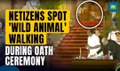 Leopard Or Pet? Mystery Animal Spotted Roaming During Rashtrapati Bhavan Oath-taking Ceremony