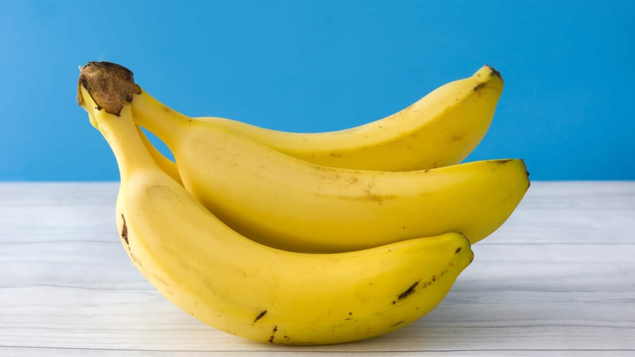 5. Banana: Properties: Bananas are rich in vitamins A, B, and E, and possess anti-inflammatory properties. Benefits: They soothe inflamed skin, help to reduce the appearance of acne scars, and prevent new breakouts due to their nourishing and healing properties. (Image: Canva) 5. Banana: Properties: Bananas are rich in vitamins A, B, and E, and possess anti-inflammatory properties. Benefits: They soothe inflamed skin, help to reduce the appearance of acne scars, and prevent new breakouts due to their nourishing and healing properties. (Image: Canva)