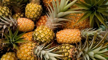 Pineapple, Grapes and Coconuts are driving fruit inflation