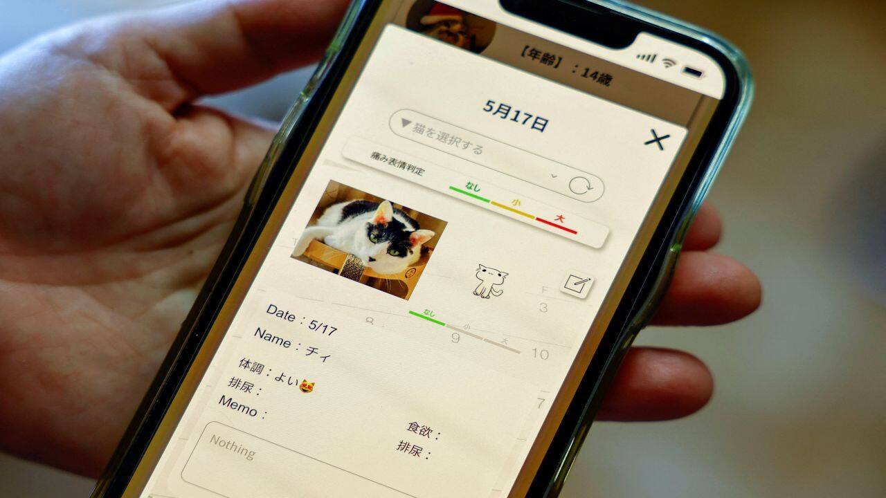 Mayumi Kitakata, 57, uses 'CatsMe!', an AI-driven smartphone application jointly developed by tech startup Carelogy and researchers at Nihon University that purports to tell when a cat is feeling pain, at her home in Tokyo, Japan May 17, 2024. REUTERS/Issei Kato