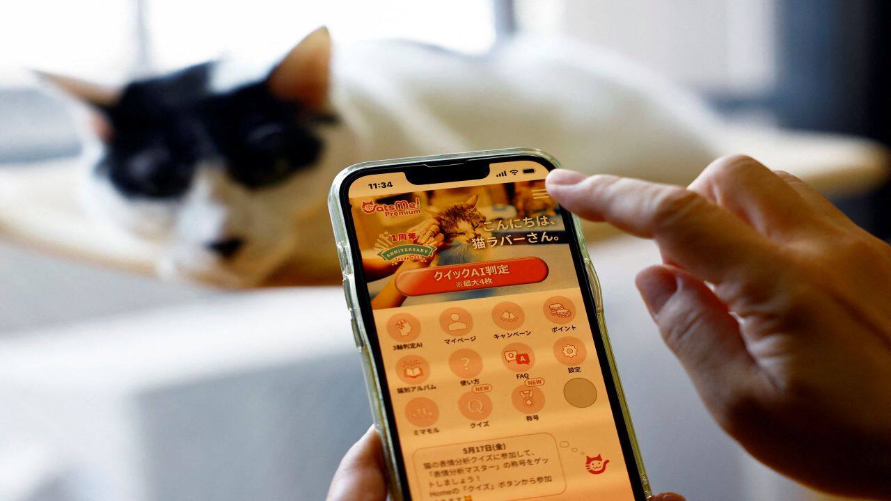 Mayumi Kitakata ,57, uses 'CatsMe!', an AI-driven smartphone application jointly developed by tech startup Carelogy and researchers at Nihon University that purports to tell when a cat is feeling pain, near her 14 year-old male pet cat Chi at her home in Tokyo, Japan May 17, 2024. REUTERS/Issei Kato