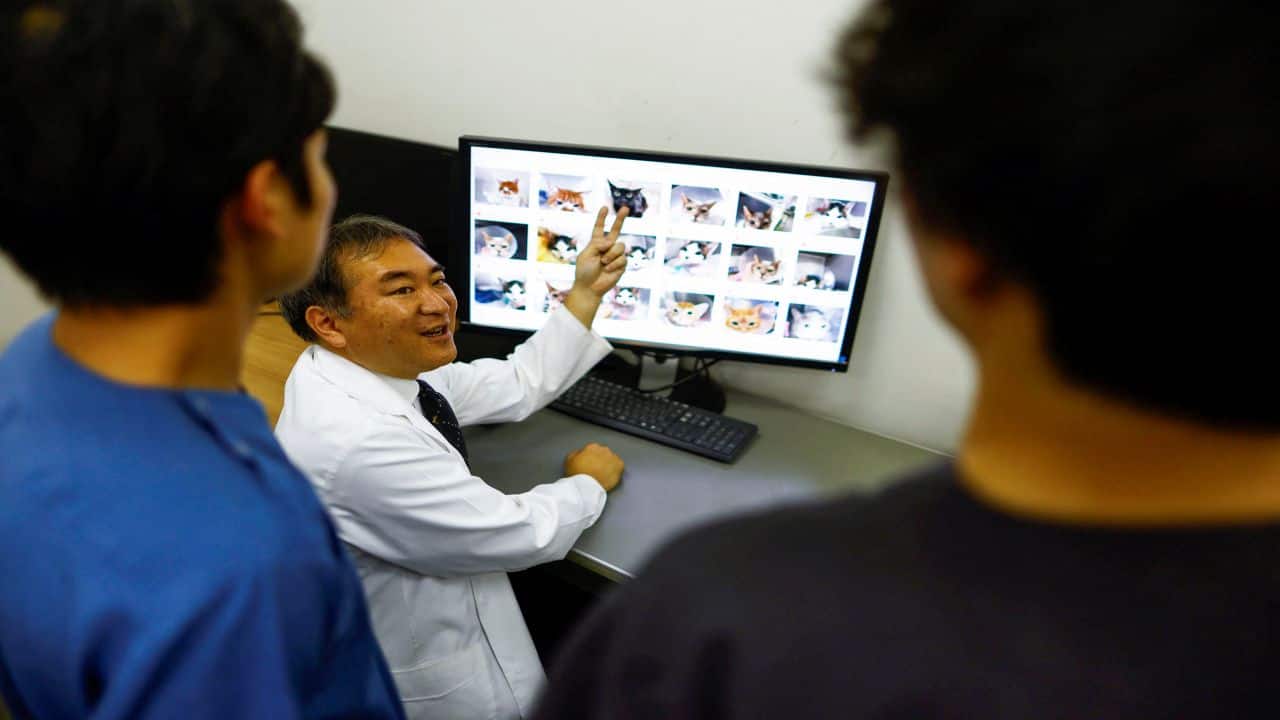 Nihon University professor and head of Nihon University Animal Medical Center Kazuya Edamura, 49, gives a lecture on the diagnosis of pain in cats to students by using cat photos used to train the AI of 'CatsMe!', an AI-driven smartphone application jointly developed by tech startup Carelogy and researchers at Nihon University that purports to tell when a cat is feeling pain, at the medical center in Fujisawa, south of Tokyo, Japan June 11, 2024. REUTERS/Issei Kato