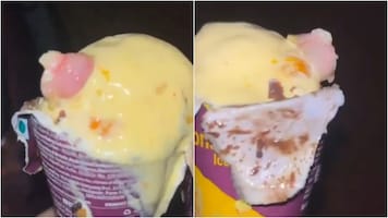Watch: Mumbai doctor shocked to find human finger in ice cream cone ordered online, probe launched