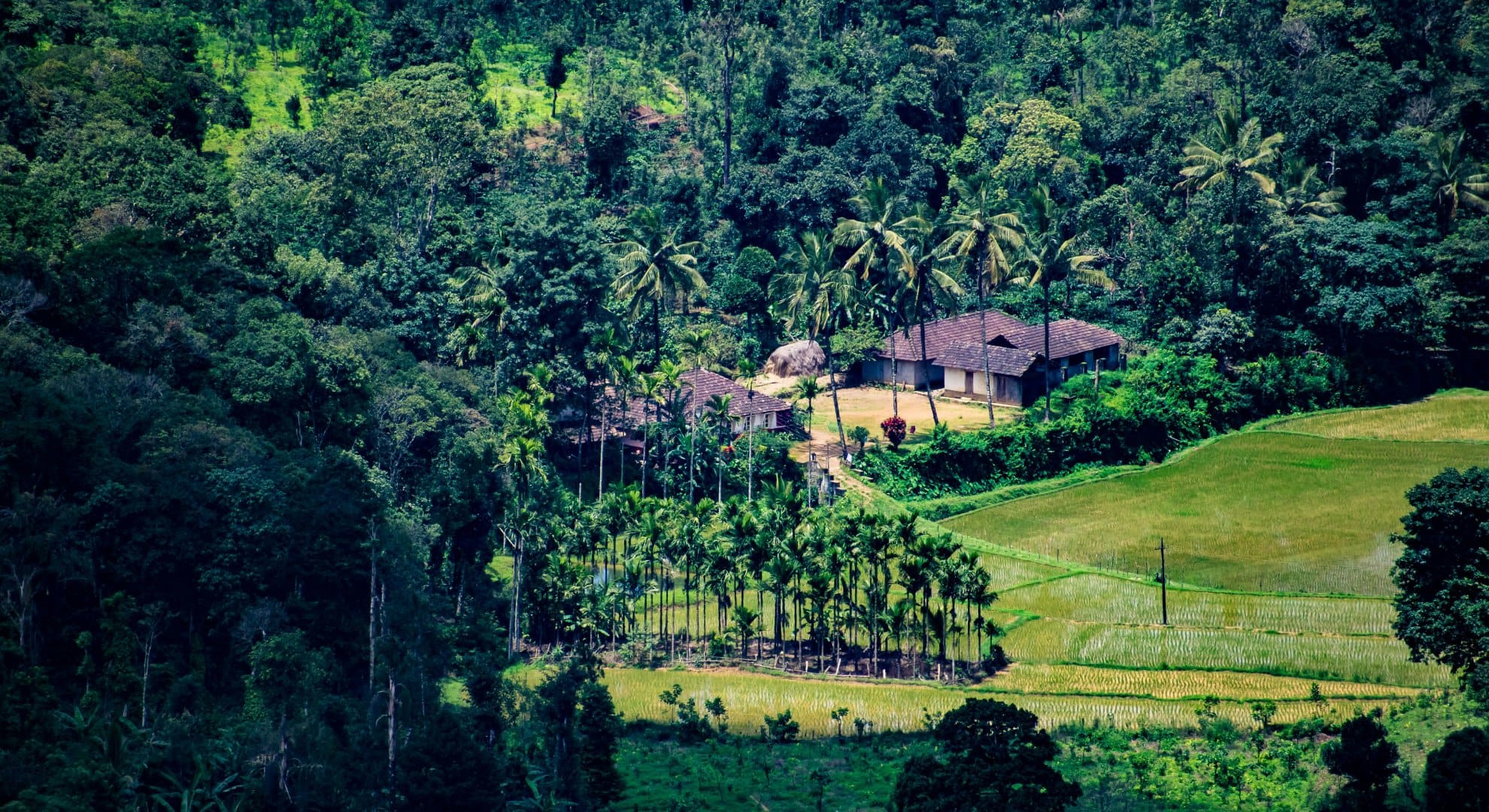 12 best monsoon getaway destinations in India, from Maharashtra's Mulshi to Coonoor in Tamil Nadu