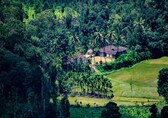 12 best monsoon getaway destinations in India, from Maharashtra's Mulshi to Coonoor in Tamil Nadu