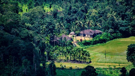 12 best monsoon getaway destinations in India, from Maharashtra's Mulshi to Coonoor in Tamil Nadu