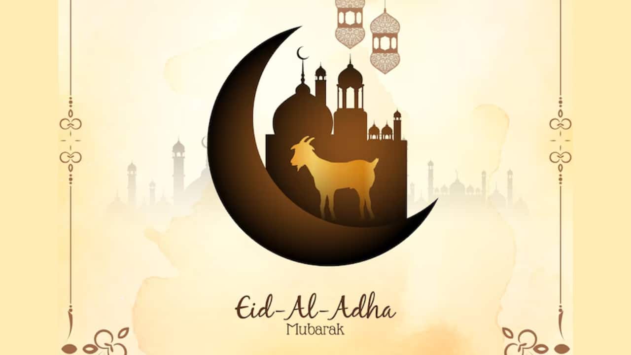 Image Source: Freepik.com