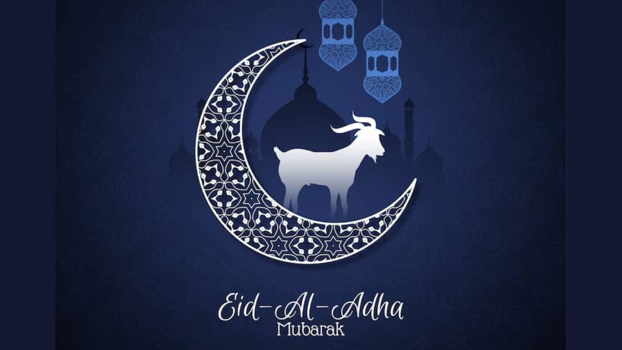 Image Source: Freepik.com