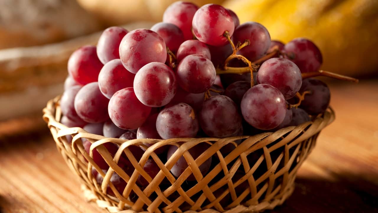 Health benefits of red grapes: Control blood sugar, keep heart healthy with this nutrient-rich fruit
