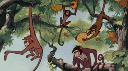 Welcome to the Jungle!