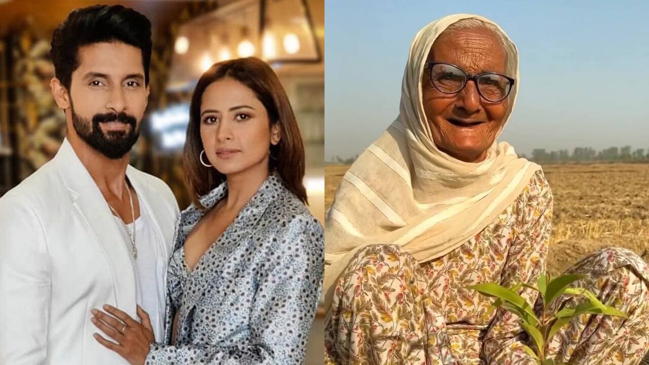 Farmers plant 500 trees in Sargun Mehta's name; say 'We have always loved you on the screen...'