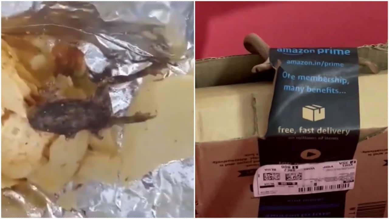 Dead frog in potato chips, live cobra in Amazon box: 7 bizarre things ...
