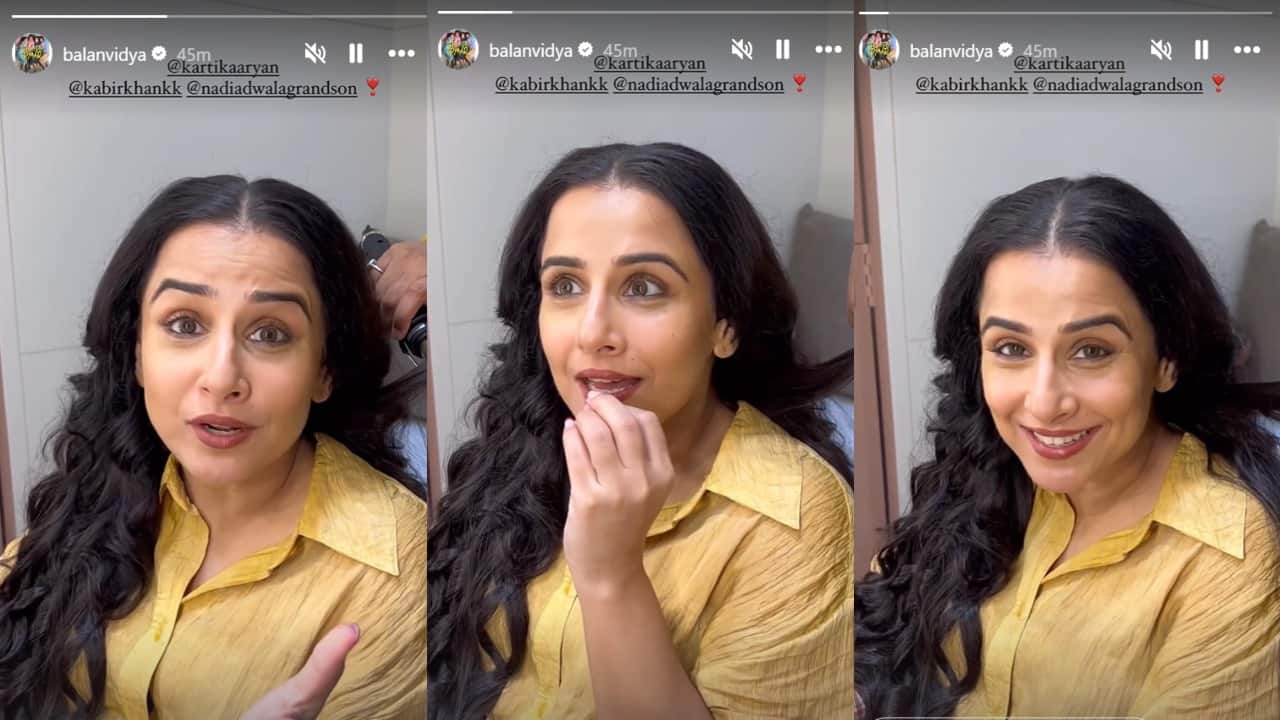 (Screenshots from Vidya Balan/Instagram Stories)