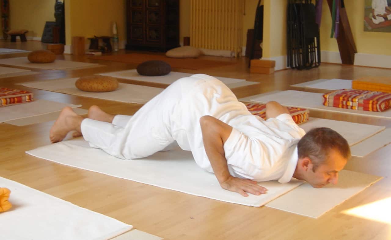 Ashtanga namaskar (Image credit: Joseph Renger via Wikimedia Commons 3)