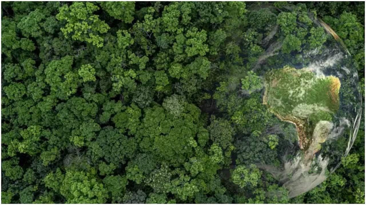 Govt report finds declining forest cover in the Western Ghats and Northeast region