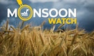 Monsoon Watch: The 2024 rainfall season ends with a healthy surplus