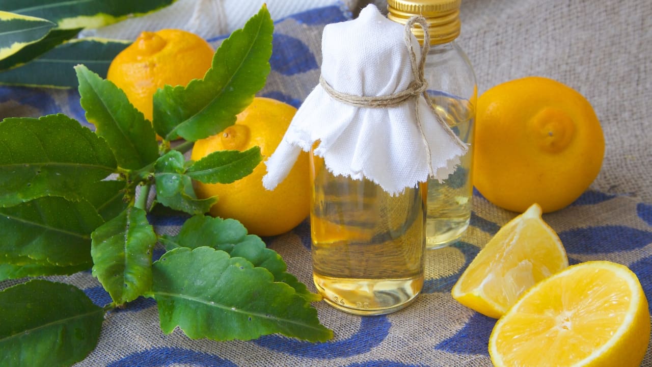 Bergamote/orange Essential Oil : The light citrus perfume with floral notes are said to have healing properties which are commonly used in aromatherapy to elevate mood and alleviate stress. The cheerful, citrusy fragrance brightens any room. It’s excellent for lifting the mood and creating a joyful atmosphere. Use these oils in living rooms and dining areas with reed diffusers that can provide a constant, subtle fragrance and are ideal for smaller spaces like bathrooms and closets (Image: Canva)