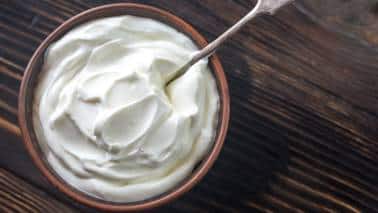 Greek Yogurt: High in protein, Greek yogurt can help stabilize blood sugar levels and provide a sustained source of energy. It also contains probiotics, which support gut health, linked to improved mood. (Image: Canva)