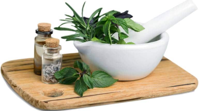 Herbs offer a natural and time-tested way to cool the body from the inside out. Most herbs are packed with antioxidants and anti-inflammatory compounds. They support digestion, calm the nervous system, and help maintain hydration; key elements for staying balanced during hot months. Plus, they are easy to steep into teas, add to meals, or apply topically (Image: Canva)