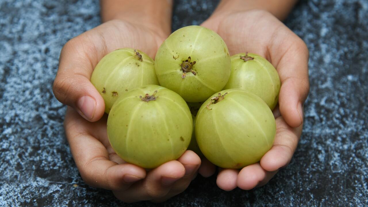 Amla (Indian Gooseberry): Amla is packed with vitamin C and antioxidants, essential for strengthening immune defenses. It shields against infections, supports tissue repair, and contributes to overall health during seasonal changes. (Image: Canva)