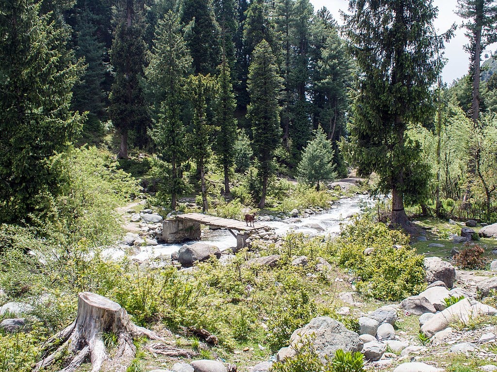 5 offbeat places to visit in Kashmir to cool off, miles away from heat ...