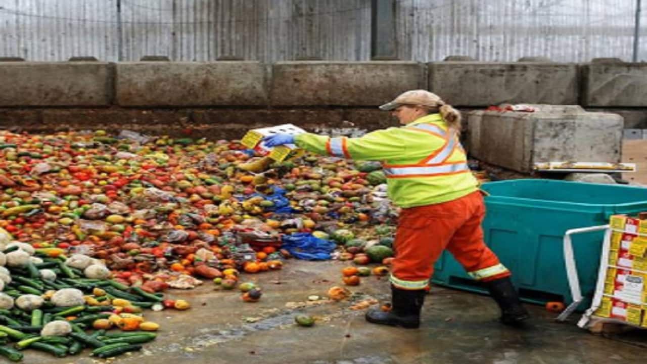 AI-enhanced garbage bins aim to solve food service’s waste problem