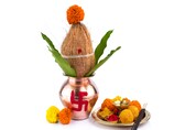 Sacred Shriphala: Why coconuts are an important part of all Hindu religious rituals