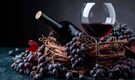 Grapes and wines existence was possible due to dinosaurs, revealed new study