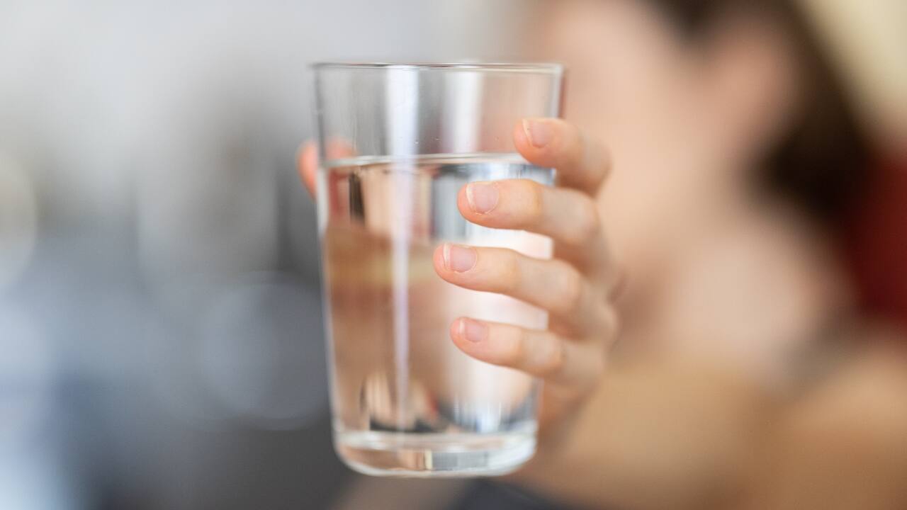 Hydration: Staying well-hydrated helps maintain your bodily functions, including the regulation of inflammatory responses. Drink plenty of water throughout the day. Herbal teas and water-rich fruits and vegetables can also contribute to hydration (Image: Canva)