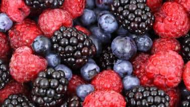 Berries: Blueberries, strawberries, and raspberries are not only delicious but also packed with antioxidants like vitamin C and anthocyanins. These compounds protect your skin cells from oxidative stress, helping to maintain a youthful appearance and promoting skin repair. (Image: Canva)