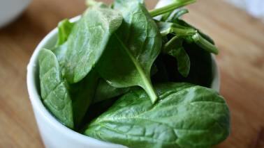 Spinach: A powerhouse of vitamins A, C, and E, spinach supports skin health by aiding in cell repair and reducing inflammation. These nutrients also contribute to a smoother, clearer complexion. (Image: Canva)