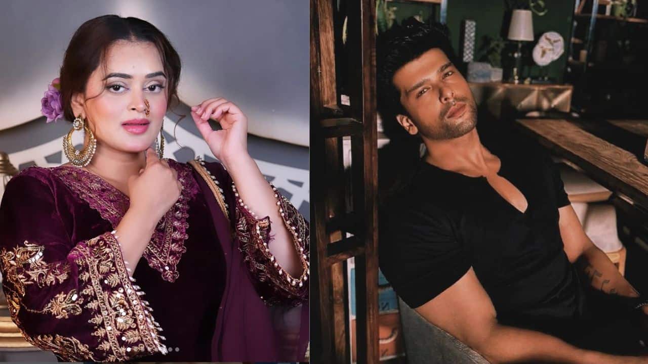 Ex-Bigg Boss contestants Kushal Tandon, Bebika come out in support of Vishal Pandey after slap gate controversy