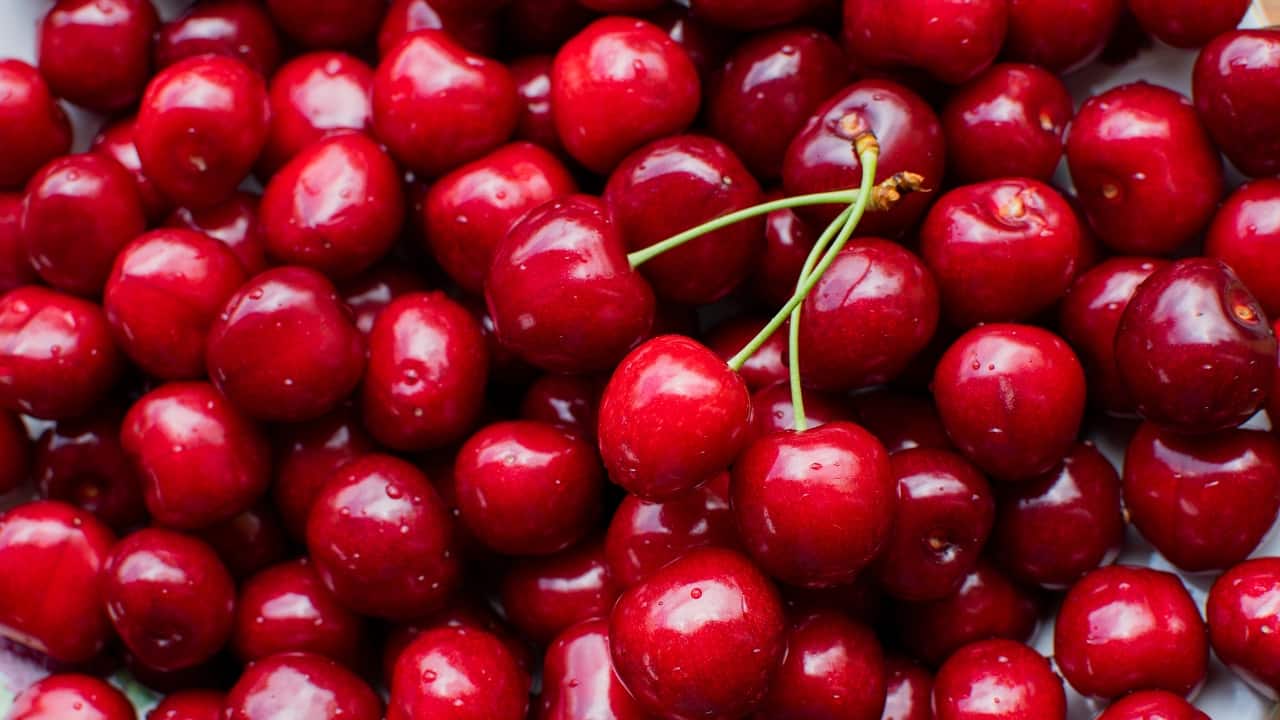 Cherries: Tart cherries are rich in melatonin, a hormone that regulates sleep-wake cycles. Consuming cherries or tart cherry juice can help in falling asleep faster and experiencing deeper, more restorative sleep, making them beneficial for those struggling with insomnia or irregular sleep patterns. (Image: Canva)