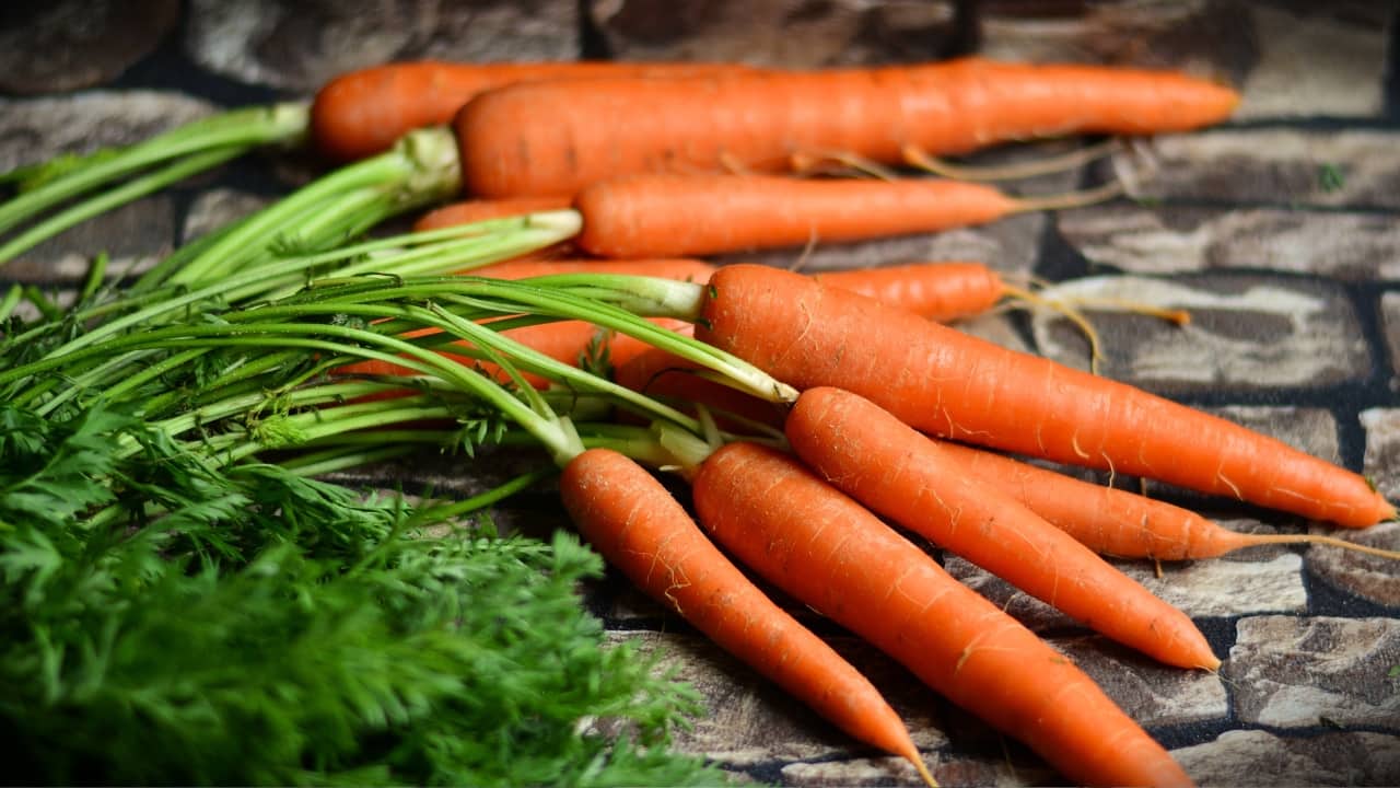 Carrots: Rich in beta-carotene, which converts into vitamin A in the body, carrots support the retina and prevent night blindness. Vitamin A is crucial for maintaining a clear cornea and improving low-light vision. Regular consumption of carrots can help in reducing the risk of age-related macular degeneration and other eye-related conditions. (Image: Canva)