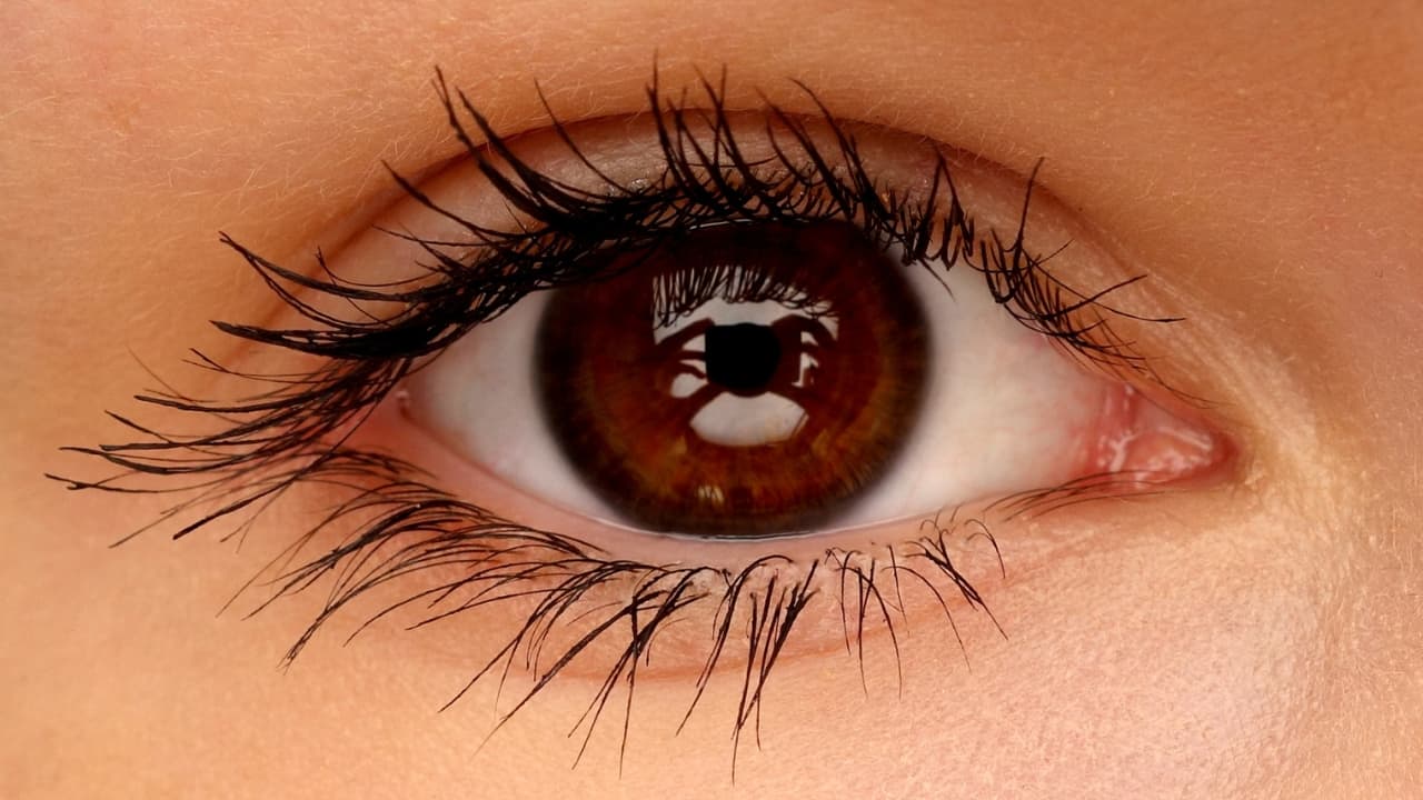 The link between diabetes and eye health: How high blood sugar can damage the eyes