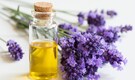 Best essential oils for scar-free skin: Lavender oil, tea tree oil, chamomile oil, more