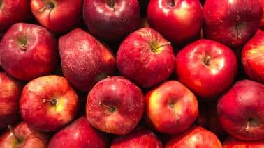 Apples Apples are rich in pectin, a type of soluble fiber that acts as a prebiotic, feeding the beneficial bacteria in your gut. This promotes a healthy microbiome and improves digestion. Apples also provide a good amount of vitamin C, antioxidants, and various phytonutrients that support immune health and reduce inflammation. (Image: Canva)