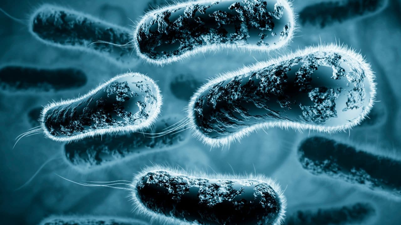 Shocking discovery made by scientists about bacteria manipulating wasps to kill their males